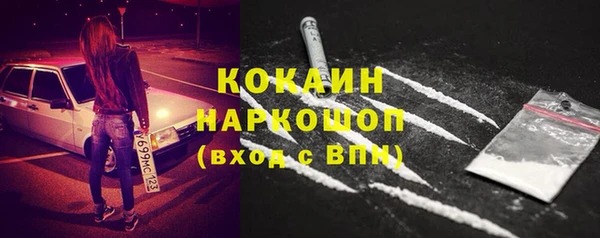 сатива Волоколамск