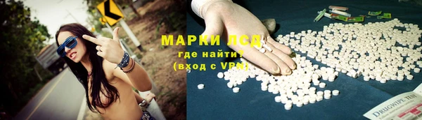 сатива Волоколамск