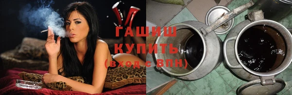 сатива Волоколамск