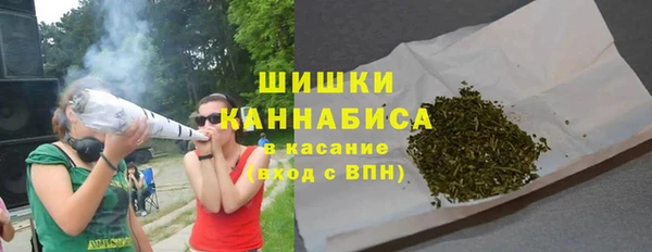 сатива Волоколамск