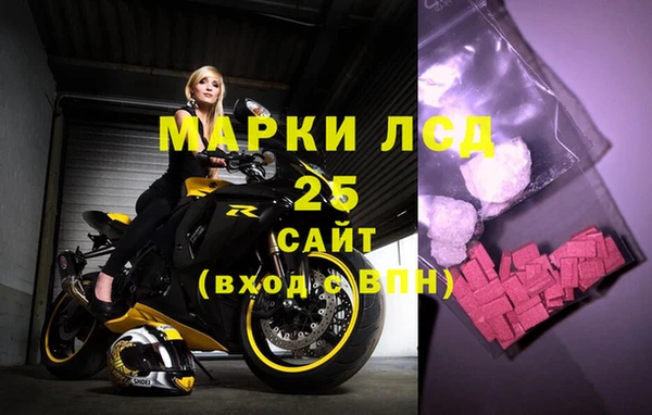 сатива Волоколамск