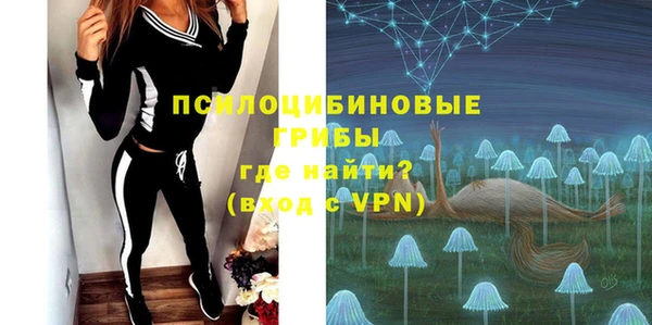 сатива Волоколамск