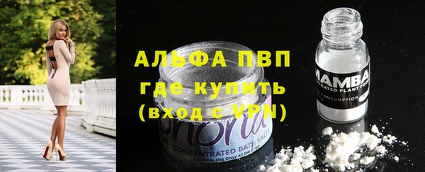 сатива Волоколамск