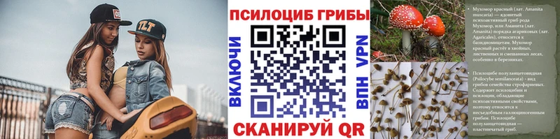 Галлюциногенные грибы Psilocybe  как найти закладки  Горбатов 